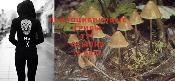 героин Грязовец