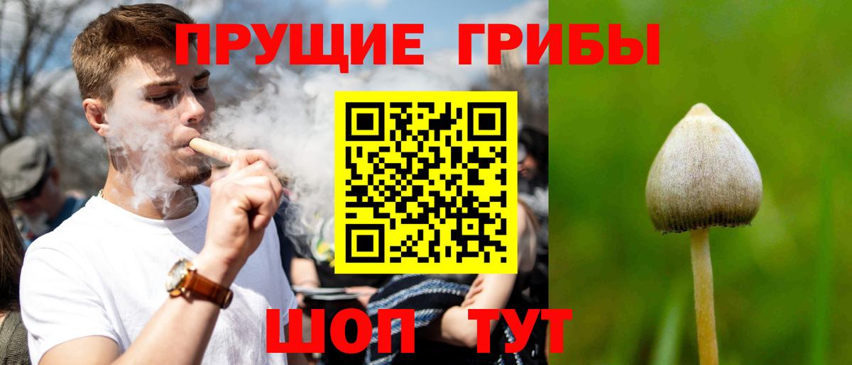 дарнет шоп  Псилоцибиновые грибы прущие грибы  Вход с VPN  Унеча 